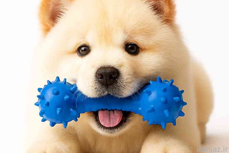 پت‌شاپ آنلاین دم تکون