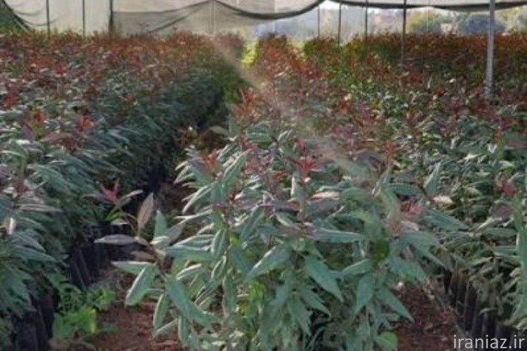 فروش پایه جی ان وجی آف 