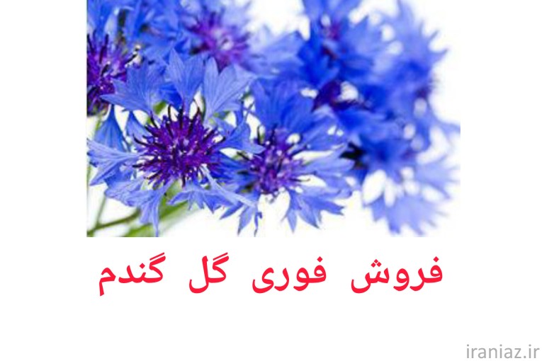 فروش گیاهان دارویی