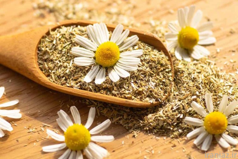 گیاهان دارویی