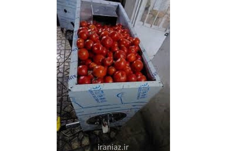 فروش دستگاه آبگوجه گیری