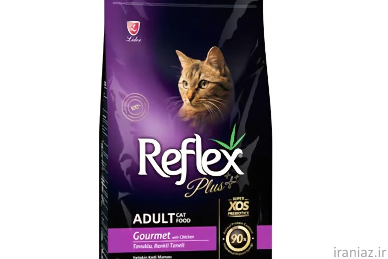 غذا گربه و سگ