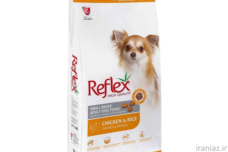 غذا گربه و سگ