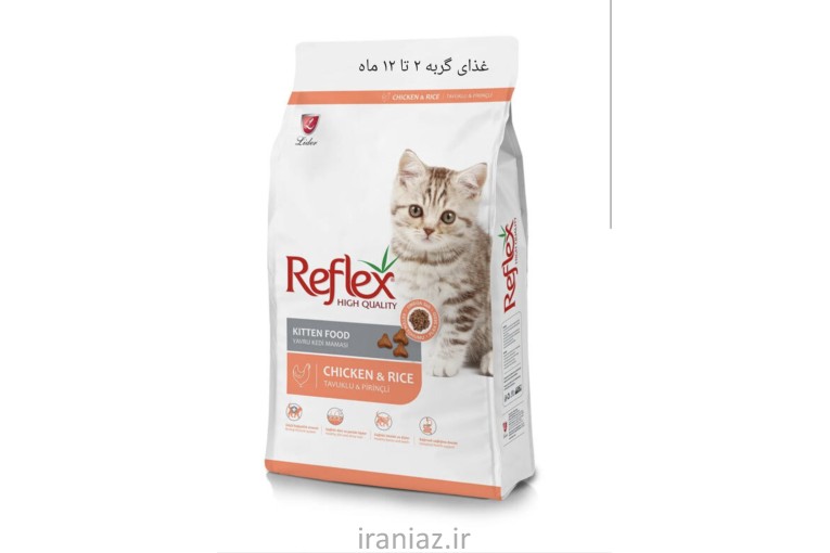 غذا گربه و سگ