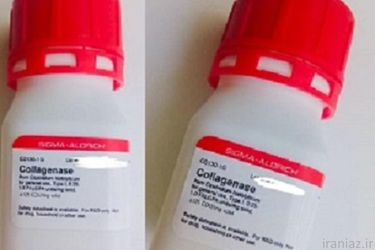 کلاژناز SIGMA