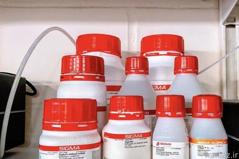 کلاژناز SIGMA