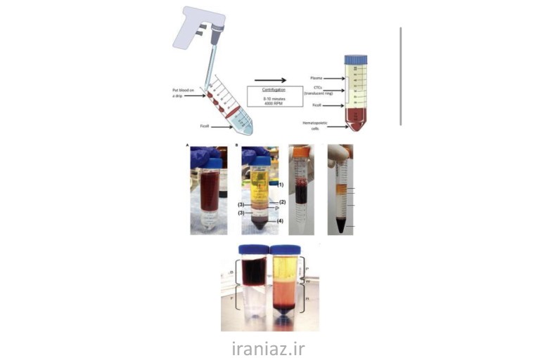 محلول فایکول آلمانی 