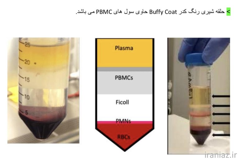 محلول فایکول آلمانی 
