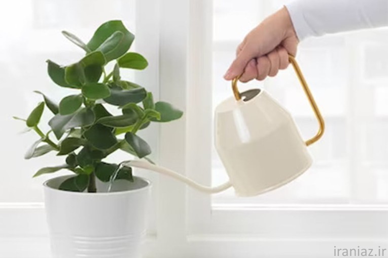 عمده فروشی ابپاش گلدان طرح ایکیا