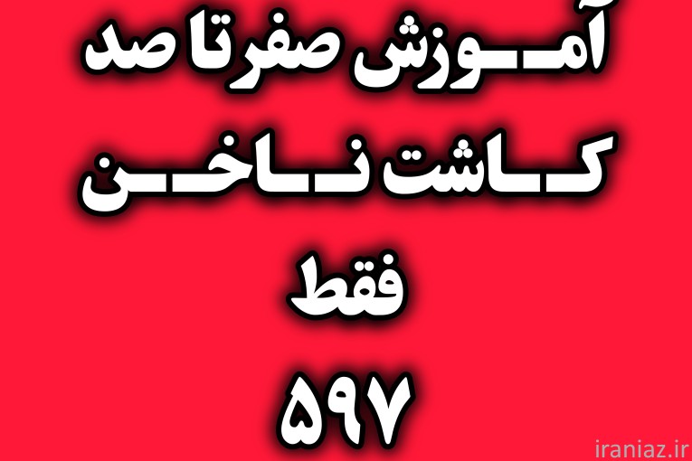 آموزش تخصصی صفر تا صد لاین ناخن 