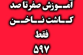 آموزش تخصصی صفر تا صد لاین ناخن 