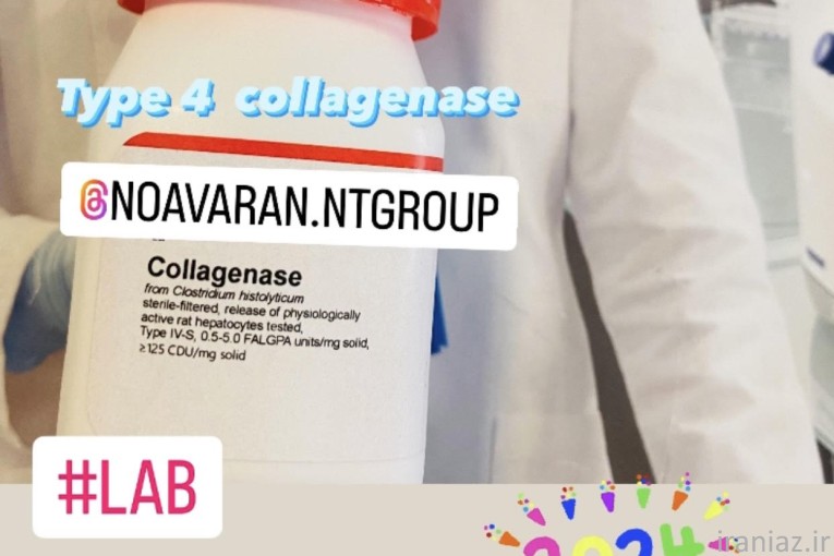 collafenase  sigma  c6885 