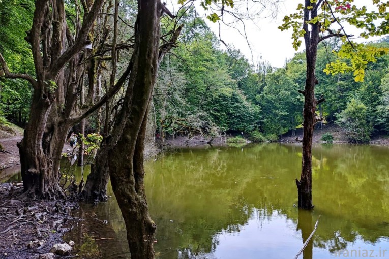 تور مرداب هسل تاج تراول