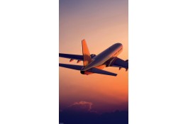 حمل ونقل بین المللی بارفرابران
