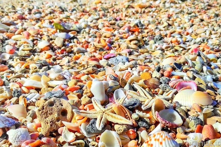 تور چابهار گروهی هوایی تاج تراول