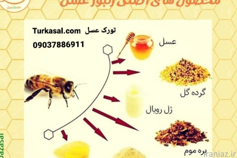 Turkasal تورک عسل 