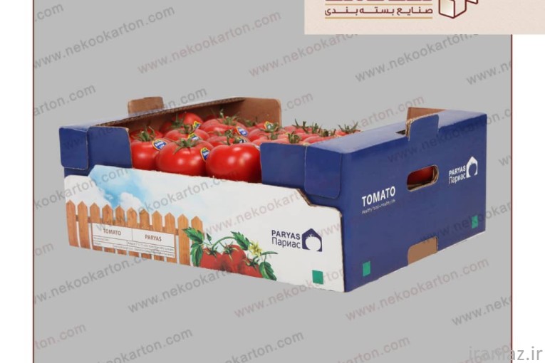 تولید کارتن صادراتی