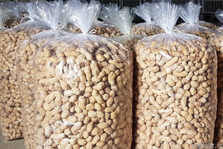 انواع بادام زمینی: بازرگانی بادرام