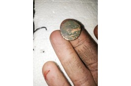 فروش ۱عدد سکه قدیمی