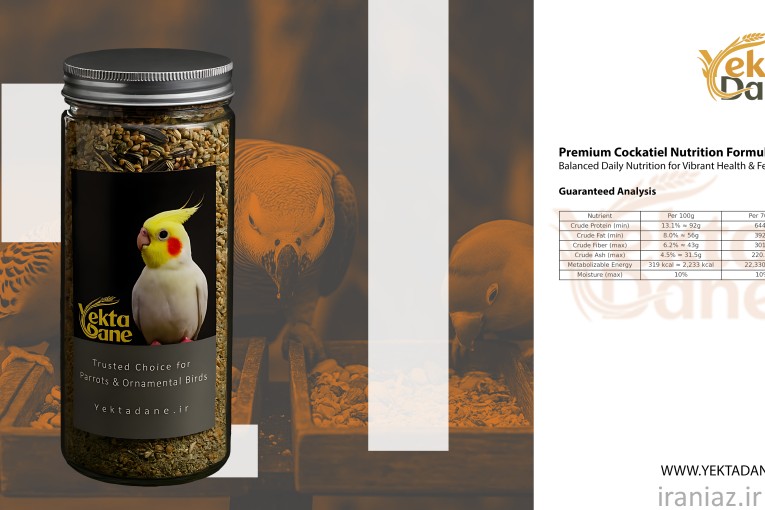 غذای عروس هلندی یکتا دانه