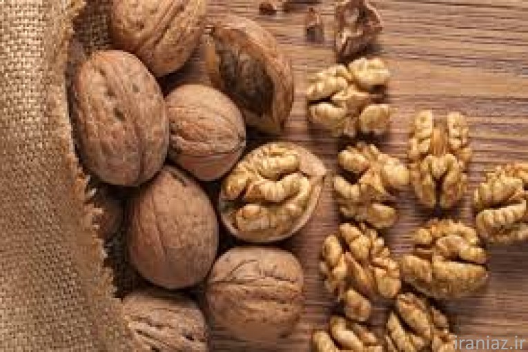 نهال فروشی میرزایی