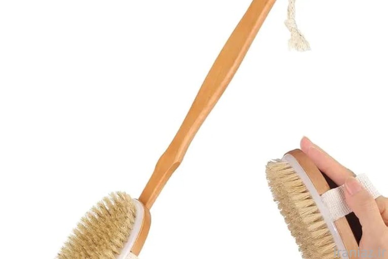 کاشت و تولید انواع فرچه، برس و جارو