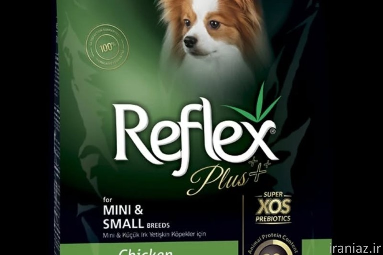 پت شاپ چمستان