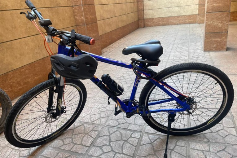 دوچرخه برند‌ الکس مدل viva