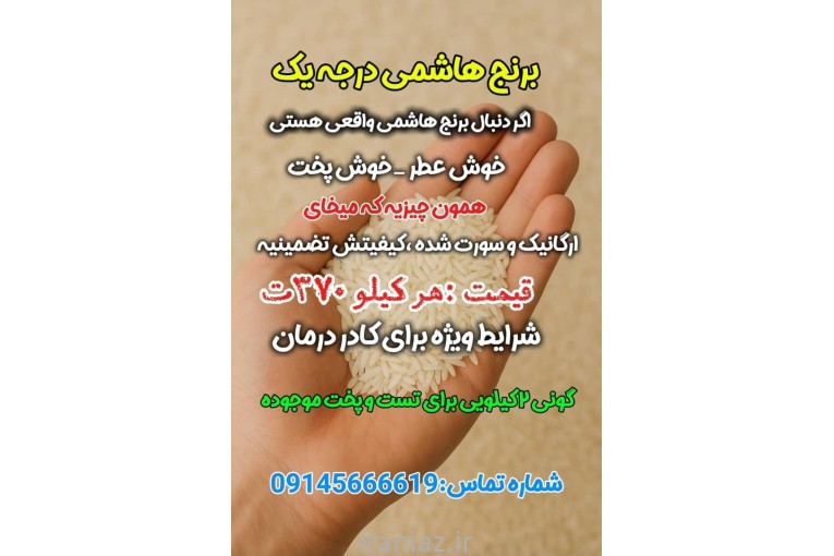 فروش برنج هاشمی ارگانیک درجه یک گیلان .