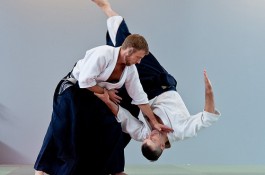 آموزش هنر رزمی ( جیو آی کی دو )