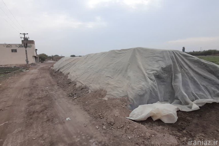 کود کامل پوسیده حیوانی 