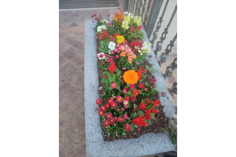 انجام کلیه خدمات باغبانی در زعفرانیه