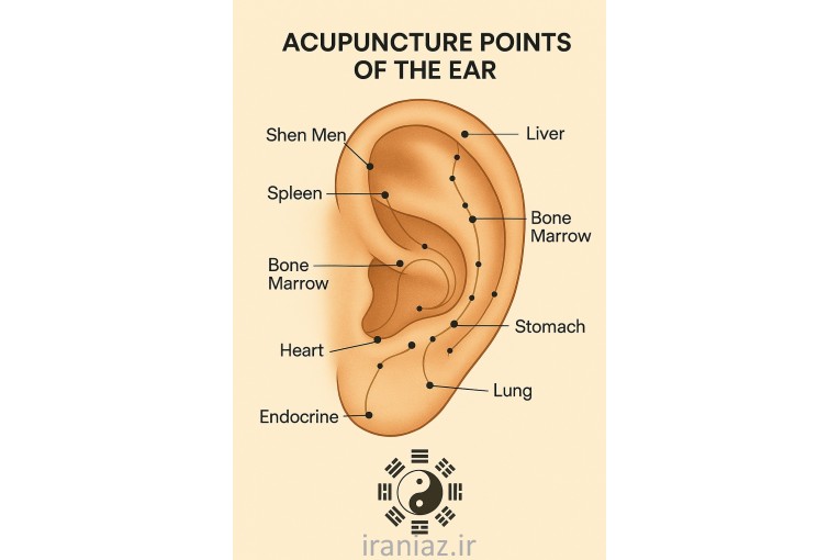 طب سوزنی پیشرفته 