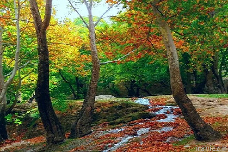 زمین ۱۲۰۰ متری