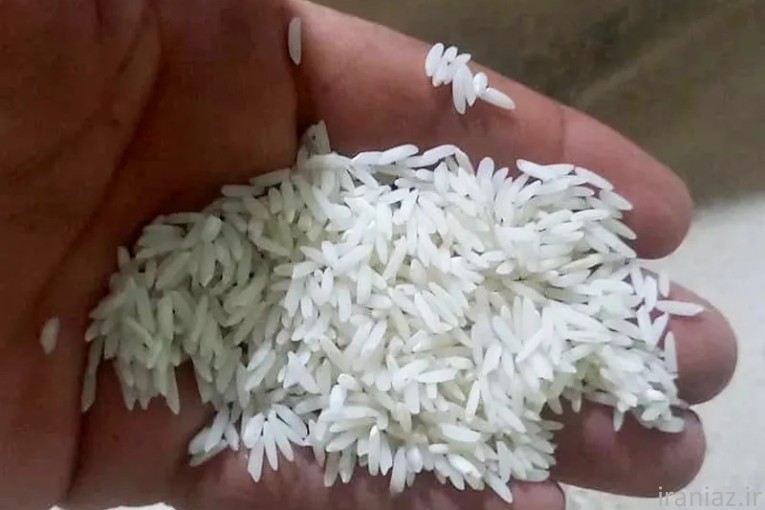 برنج  اصل طارم هاشمی تحویل در تهران