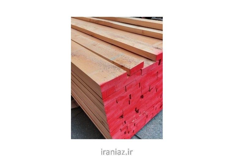 فروش چوب راش