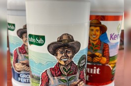 محصول ۲ برابر