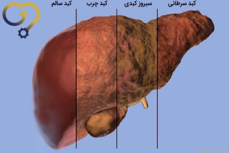 طب سلامتی وسبک تغذیه سالم