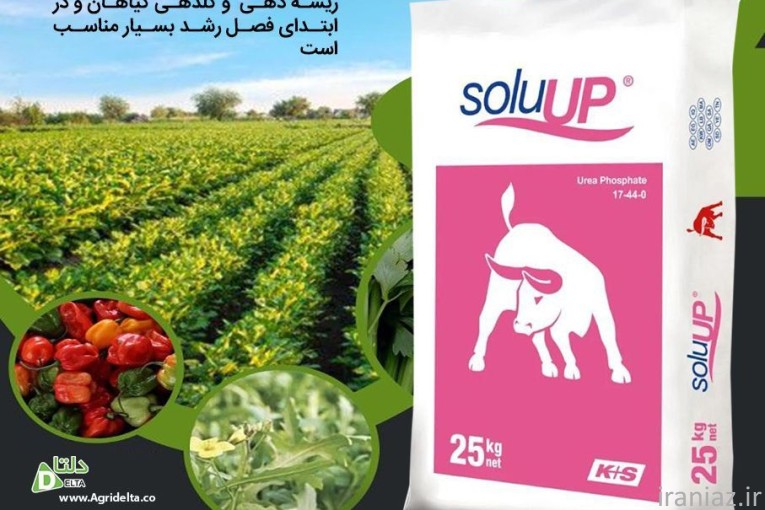 اوره فسفات کا پلاس اس