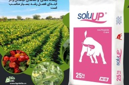 اوره فسفات کا پلاس اس