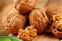 نهال گردو تضمینی با باردهی بالا 