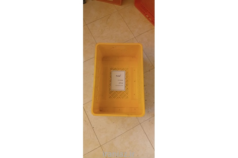 سبد کشتارگاهی مرغ و ماهی