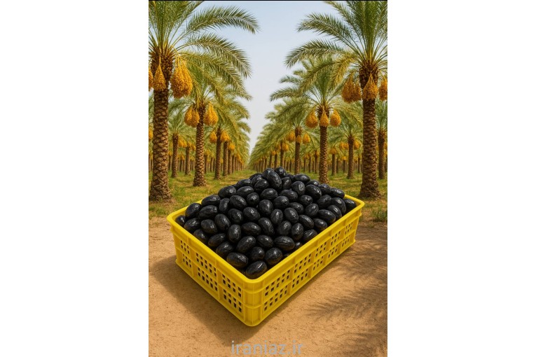 سبد خرما سبد سردخانه خرما