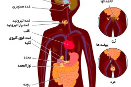 مشاور تغذیه و سلامت