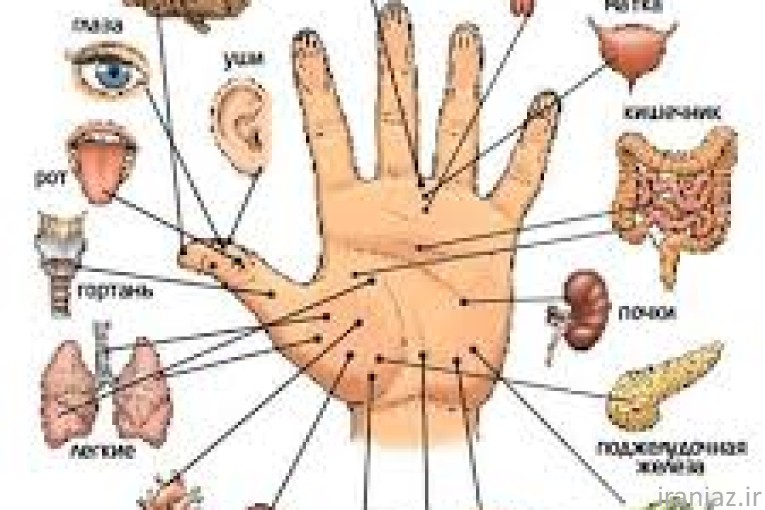 مشاور تغذیه و سلامت