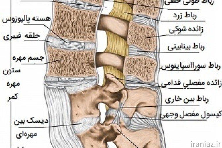 مشاور تغذیه و سلامت