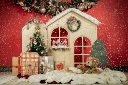 آتلیه عکاسی ، خانه عکس دا