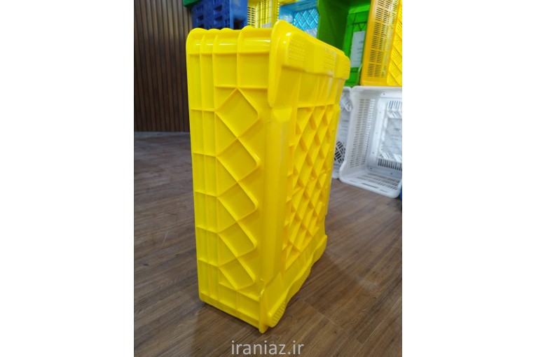 سبد 20 کیلویی ماهی