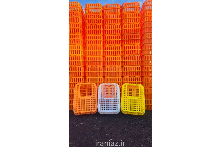 قفس حمل مرغ زنده