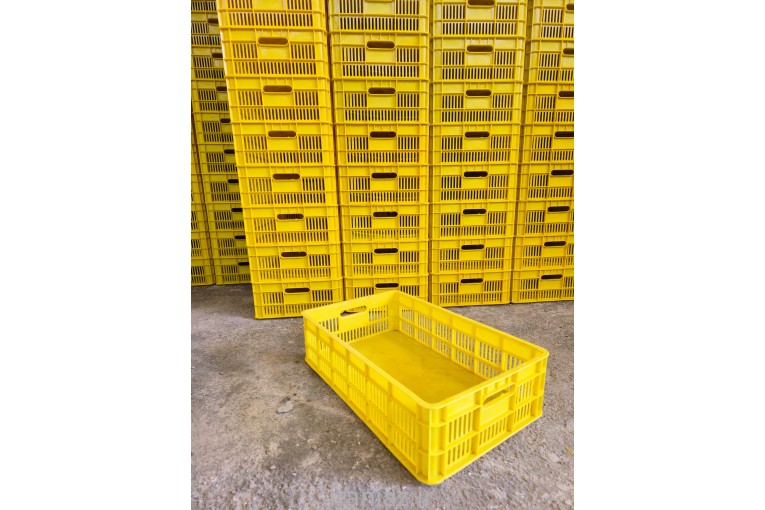 سبد حمل خرما